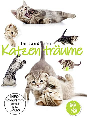 Im Land der Katzenträume