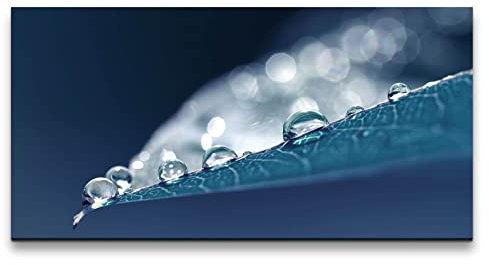 Paul Sinus Leinwandbild 120x60cm Makrofotografie Wassertropfen Regentropfen Blatt Blau