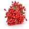 celloexpress Red 6cm Artificial Flower Stamens - Pearlised Teardrop Beads on Wire for Wreaths, Garlands, Floral Arrangements, Festive Decorations (Pack of 120)