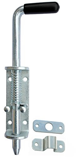 Türriegel Torriegel Bolzenriegel Riegelverschluss (2, Federriegel 220/12)