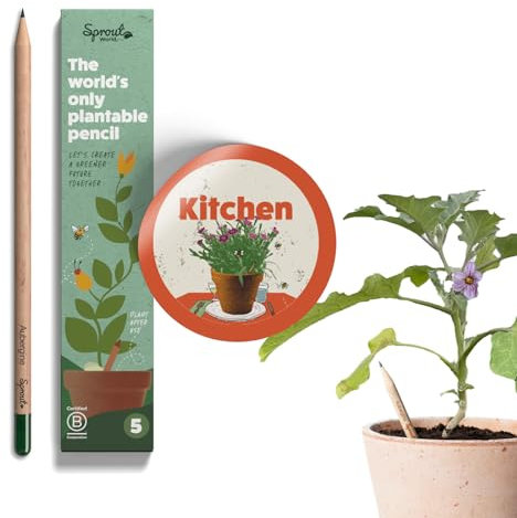 SproutWorld Pencils | Kitchen Edition | Graphite Plantable Pencils with Herb, Fruit & Vegetable Seeds | Certified Wood | Great gift for home cooks | 5 Pack