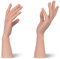 CYOMI Silikon Hand Mannequin Weiblich Schaufensterpuppe Mannequin Hand Life Size Hand Model für Malerei Fotografie Schmuck-Display(Linke Hand