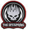 American Punk Rock Band Patch Abzeichen bestickt zum Aufbügeln