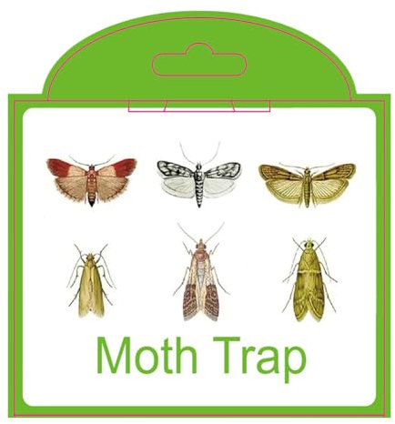 ARVALOLET 5er Set Selbstklebende Mottenfallen mit Pheromonen, Effektive Lösung gegen Speisekammer-Motten for Küche & Kleiderschrank