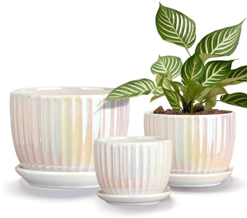 Ton Sin PearlGold Ceramic Plant Pots Set of 3-4.1+5.1+6.5 Inch,Mini Indoor Succulent Planters with Drainage - Decorative Ceramic Orchid and Herb Pots