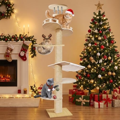 Kratzbaum vom Boden bis zur Decke, 6 Stufen höhenverstellbar, Kletterturm mit transparenter Kapsel, großes Indoor-Outdoor-Katzen-Aktivitätszentrum, platzsparend, vertikale Katzenstruktur (A)