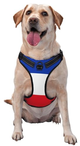 Hundegeschirr Flagge des Kantons Schleswig-Holstein für kleine, mittelgroße und große Hunde, verstellbar, atmungsaktive Hundeweste mit Schnellverschluss-Schnallen