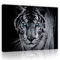 Forwall Leinwandbild Wohnzimmer Tiger Tiere Schwarz Blau 80x60 cm - Modern Bilder Groß XXL Wandbild Kunstdruck Wandbilder Canvas Desing Wand Bild auf Leinwand Aufhängefertig