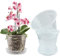 WDragon Clear Orchid Pot,11cm 14cm 17cm Plastic Plant Pots with Holes and Saucers,Nursery Pots for Orchid Repotting Kit (5, 14CM with Saucer)