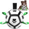 HETOO Hundeball Hundespielzeug Ball mit Griff für Hund Interaktives Schleppen von Krieg Wasser Hundebälle Spielzeug Geburtstagsgeschenk für Kleine/Mittel Hunde (5 Zoll)