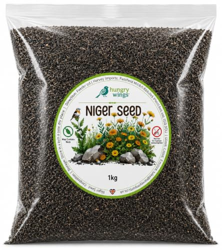 Wild Bird Food (1kg, Niger Seed)
