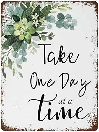 Metall-Blechschild, Antik-Druck „Take One Day at A Time, Retro-Wanddekoration für Zuhause, Cafés, Büro, Geschäfte, Kneipen, Clubs, Heimdekoration, Wandkunst, Geschenk, 14 x 20 cm