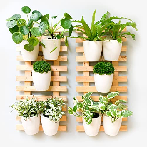 ShopLaLa Wand-Pflanzgefäß aus Holz – 2 Stück, Wandbehang, Pflanzgefäße für Zimmerpflanzen, Leiter, Wandhalterung, Naturholzhalter, Blumentöpfe, vertikal, Wohnzimmer, Balkon, einzigartige, große grüne