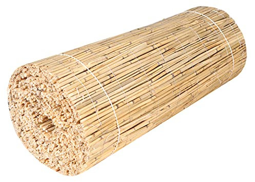 H4L Schilfmatte Sichtschutzmatte Schilfrohrmatte Natur Sichtschutz Windschutz Schilf 600x80cm