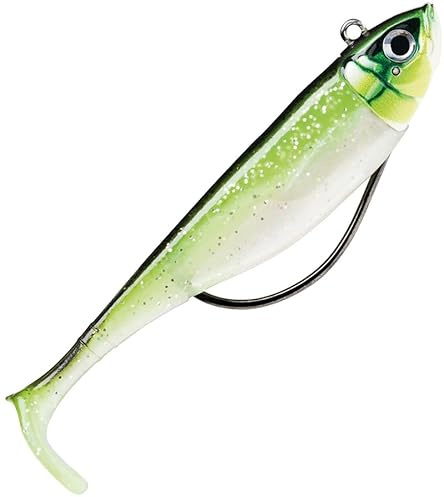 BISCAY SHAD 09-10G CGR
