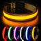 HEELE Hundehalsband Leuchtend, Leuchtend Halsband, Leuchthalsband Type-C Wiederaufladbar, Leuchthalsband Hund Wasserdicht, LED Halsband für Hunde, Hundehalsband mit 3 Beleuchtungsmodi, Braun, S