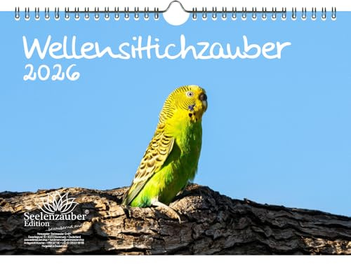 Wellensittichzauber DIN A4 Kalender für 2026 Wellensittiche - Seelenzauber
