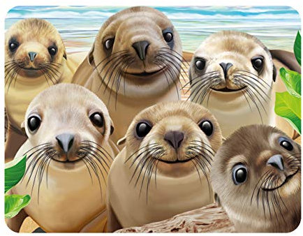 3D LiveLife Magnet - Sea Lion Snap from Deluxebase. Lenticular 3D Ocean Fridge Magnet. Magnetic decor for kids and adults with artwork licensed from renowned artist, Michael Searle