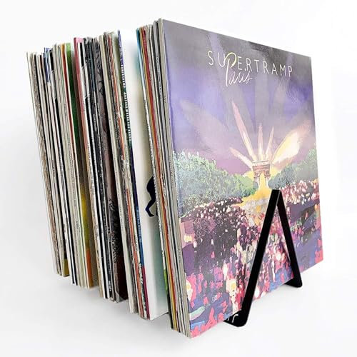 etterr | Doppelpack Schallplattenständer | für 50 Vinyls | 100% Stahl | Vinyl Stand | Vinyl Holder | Vinyl Ständer | Cd Ständer | Vinyl Aufbewahrung | Bücher Organizer