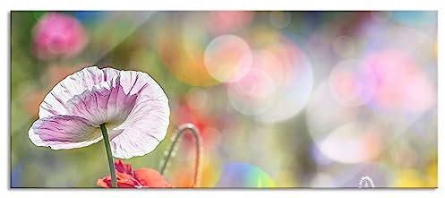 Pixxprint Glasbild Panorama, Wandbild aus Echtglas, Kalifornischer Mohn im Frühling, 100x40 cm, inkl. Aufhängung und Abstandshalter