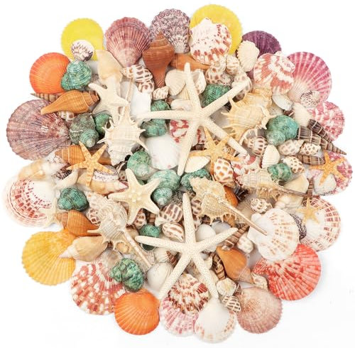 680g Muscheln Deko, 130+ Stück Natürliche Muscheln de Verschiedene Größen, Seesterne Auster Muscheln Kleine Muscheln für Auffädeln Fischtank Vase Füller Strand Maritime Meeres Fisch Deko