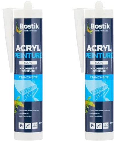 Mastic Acrylique Acryl Peinture - Cartouche de 310 Ml (Lot de 2)