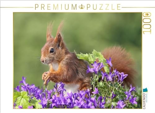 CALVENDO Puzzle EIN Motiv aus dem Kalender Besondere Augenblicke mit Eichhörnchen | 1000 Teile Lege-Größe 64 x 48 cm Foto-Puzzle für glückliche Stunden