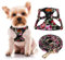 CHEDE Hundegeschirr, kein Ziehen, Blumenmuster, leichtes und weiches Hundegeschirr, verstellbares kleines Hundegeschirr und Leine, mit Hundeleine, kleine und mittelgroße Hunde (XS, schwarze Blume)