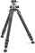 Gitzo Treppiede Systematic Serie 5, Treppiede Fotocamera con Testa a Sfera Centrale Serie 4, Accessori Fotografia, per Creazione Contenuti, Video, Fotografia Professionale, Portata 30 Kg