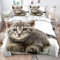 DXHOME Dragon-Li Bettwäsche 135x200 4teilig Katzenmotiv 3D Bettwäsche Braun Weiß Flauschige Mikrofaser Wendebettwäsche für Kinder Mädchen Jungen mit Reißverschluss und 2 Kissenbezüge 80x80 cm