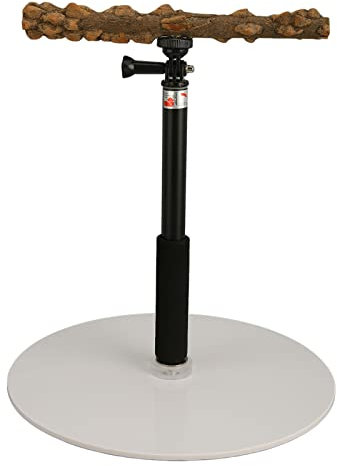 Fockety Percha para pájaros, Percha de Altura Ajustable para adiestramiento de Loros, Percha de Juego Desmontable para Loros, Percha de Juego para cacatúas
