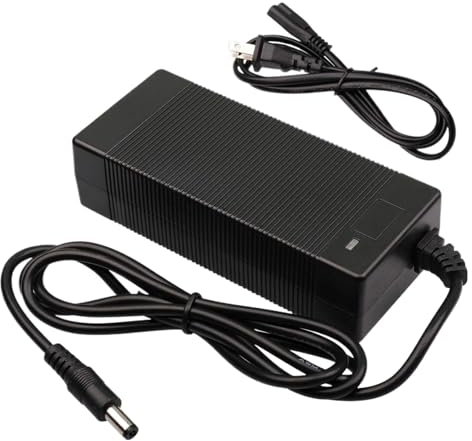 WOFMCKXU Chargeur, Chargeur de Batterie, Adaptateur Secteur, Compatible avec Les Scooters électriques Ducati Pro-II et Pro 2