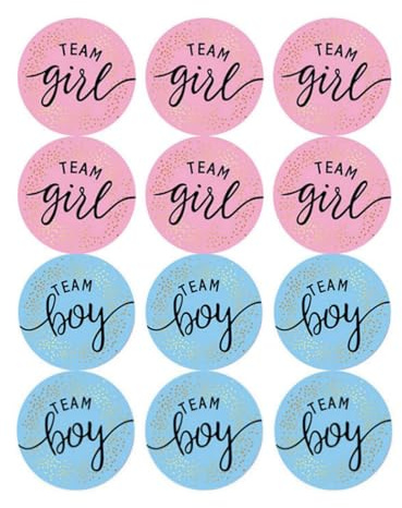 48pcs Gender Reveal Decoration Party Stickers, Sparkly Silver Letter Labels for Baby Shower Fun, Boy or Girl Team Tags for Gender Party Celebrations and Games
