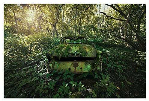 artboxONE Poster 120x80 cm Natur Parking in The Forest hochwertiger Design Kunstdruck - Bild urbex Auto car