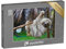 puzzleYOU: Puzzle 500 Teile „EIN Faultier“ – aus der Puzzle-Kollektion Faultiere, Exotische Tiere & Trend-Tiere