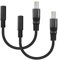 SinLoon Lot de 2 adaptateurs d'alimentation CC 4,5 x 3,0 mm Femelle vers 7,9 x 0,9 mm mâle pour Cordon d'alimentation pour Ordinateur Portable