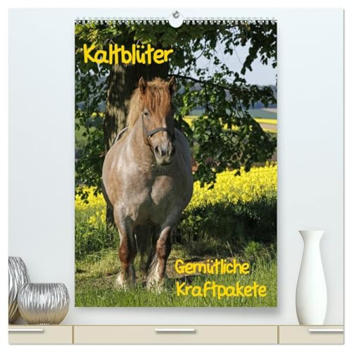 Kaltblüter (hochwertiger Premium Wandkalender 2026 DIN A2 hoch), Kunstdruck in Hochglanz: Gemütliche Kraftpakete (CALVENDO Tiere)