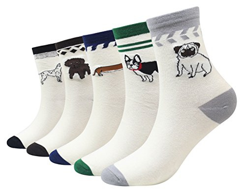 Cansok Lot de 5 paires de chaussettes fantaisie pour Homme Motif teckel Bouledogue Dalmatiens Carlin Chien en peluche chien