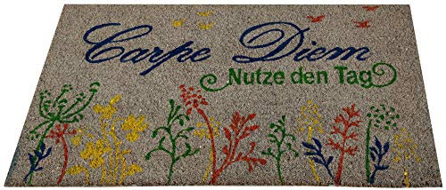 Bestlivings Fußmatte Kokos Schuhabtreter 50x75cm in grau (Carpe Diem), Fußabtreter Schmutzfangmatte Türmatte Bodenmatte Läufer Teppich Türvorleger Abtreter