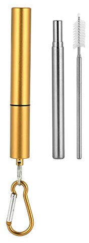 Kit de paille réutilisable rétractable en acier inoxydable à trois sections(#1)