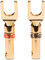 Kabelschuhe NEXMEX High End 2X Stecker für Lautsprecherkabel Gabelschuhe Steckverbinder für Kabel bis 6mm² 24K vergoldet löt- oder schraubbar Flexibler Anschluss für HiFi-Boxen Verstärker Endstufen