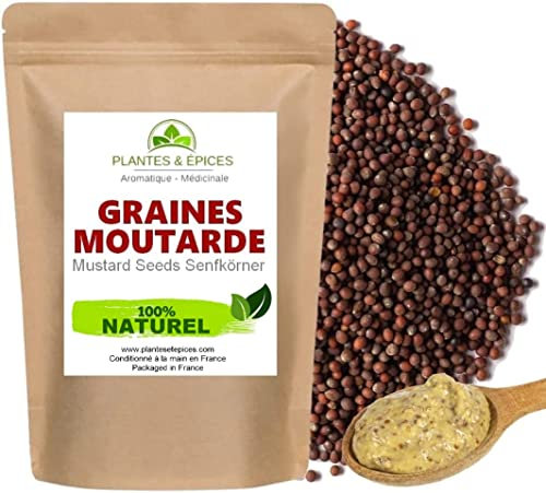 Plantes & Epices - Graine De Moutarde Noir Qualité BIO - Sachet Fraîcheur Biodégradable Refermable (100g)