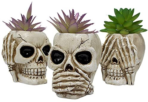 Fowybe 3 macetas con diseño calaveras, para plantas interior, divertidas macetas para decoración jardín casa, cactus, decoración para plantas suculentas.