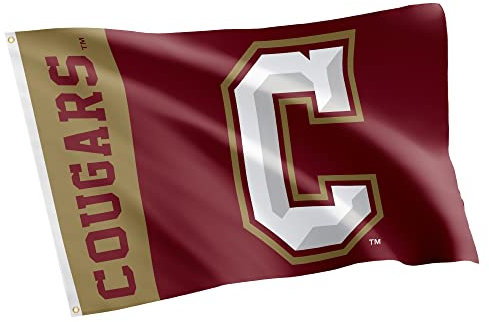 Desert Cactus College of Charleston Flagge, 100 % Polyester, für drinnen und draußen, 91 x 152 cm (Teamname)
