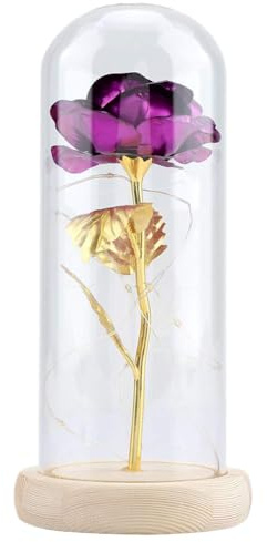 Hakeeta Ewige Rose mit LED Lichterkette. Rosenblume in der Glaskuppel, Rose aus ‘Der Kleine Prinz’. Gutes für Freundin, Valentinstag, Muttertag. 4 Farbe erhältlich(lila)
