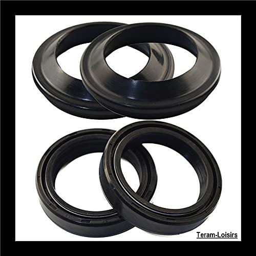 Teram Loisirs Joint Spia Forcella Compatibile per Honda Sh 125 Iniezione Di 2014 2015 Nuovo Francia