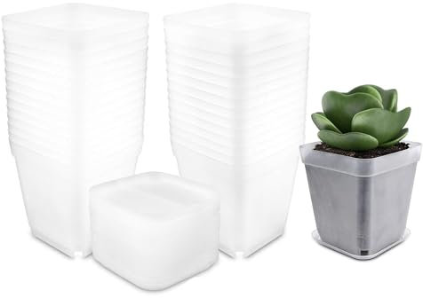 Luckwaii Maceta Transparente Macetas de Cultivo, 30 Piezas Macetas Cuadradas Plastico Macetero Suculento Macetas de Vivero, 7cm Bandeja de Cultivo con Agujeros de Drenaje y Palet para Plantas Pequeñas