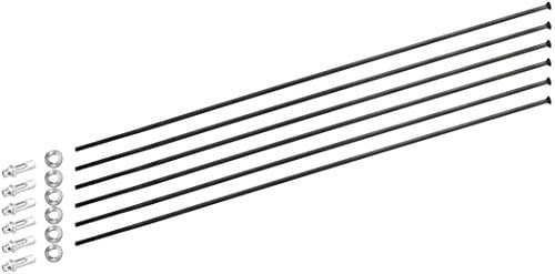 Dt Swiss Unisex – Erwachsene HX 1501 Speichenkit, Schwarz, 29