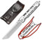 NedFoss Tanto Klappmesser Einhandmesser mit Schleuder Outdoor Messer EDC Messer Folder, 8,5 cm Klingenlänge (Silber)