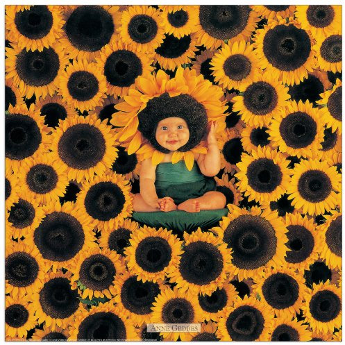 Artopweb TW08002 Geddes - Senza Titolo Dekorative Paneele, Holzwerkstoff, Multifarbiert, 50x50 Cm